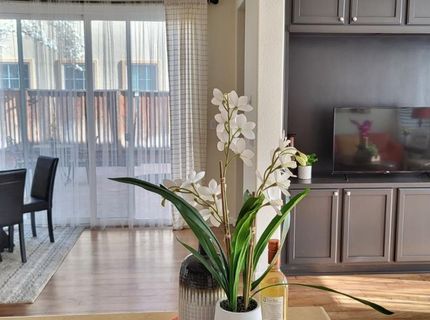 322 S Central Pkwy, Mountain House, CA 95391 Photo