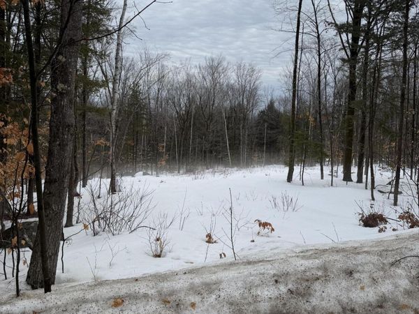 Lot 3 Hancock Pond Rd, Sebago, ME 04029