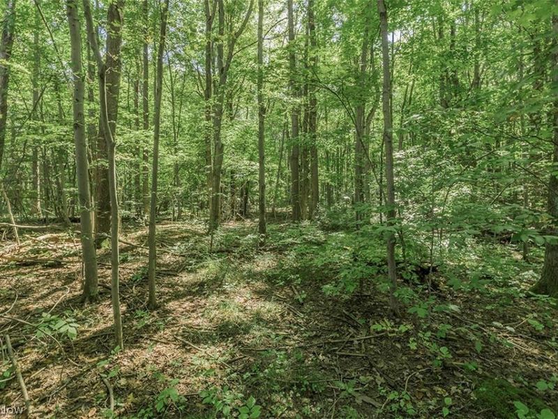 14988 Surrey Downs Drive , Novelty, OH 44072 Photo 40