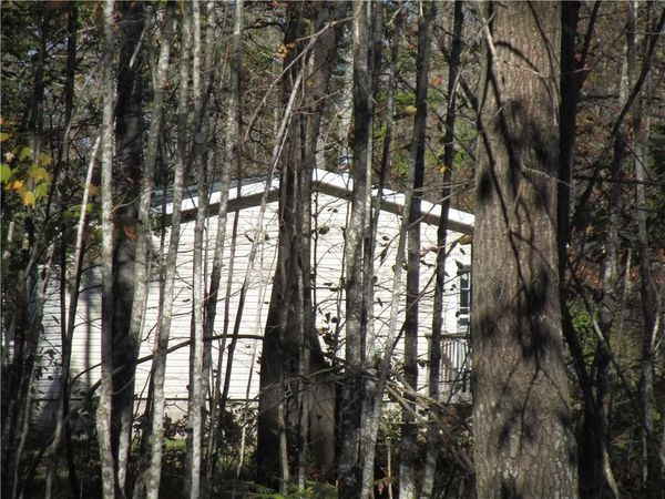 W9618 Mile Road, Ladysmith, WI 54848