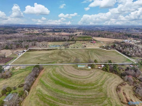 18 Acres Davis Road, Albertville, AL 35951