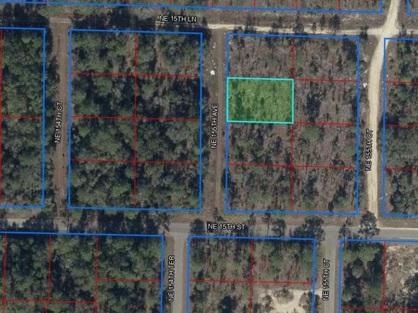 tbd NE 155TH AVENUE , WILLISTON, FL 32696