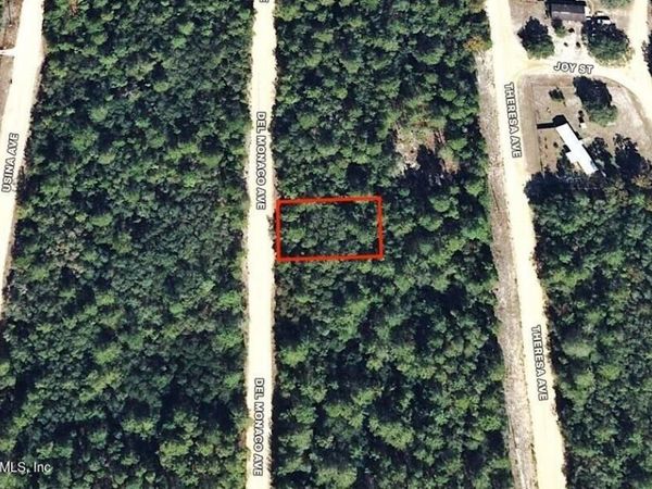 00 DEL MONACO Avenue, Interlachen, FL 32148