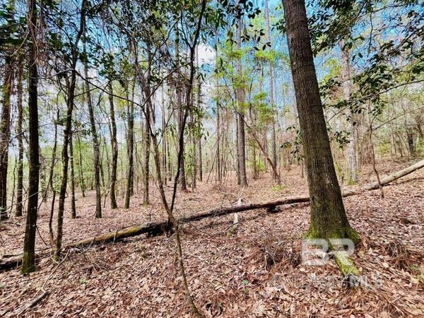 002 Phillipsville Road, Bay Minette, AL 36507