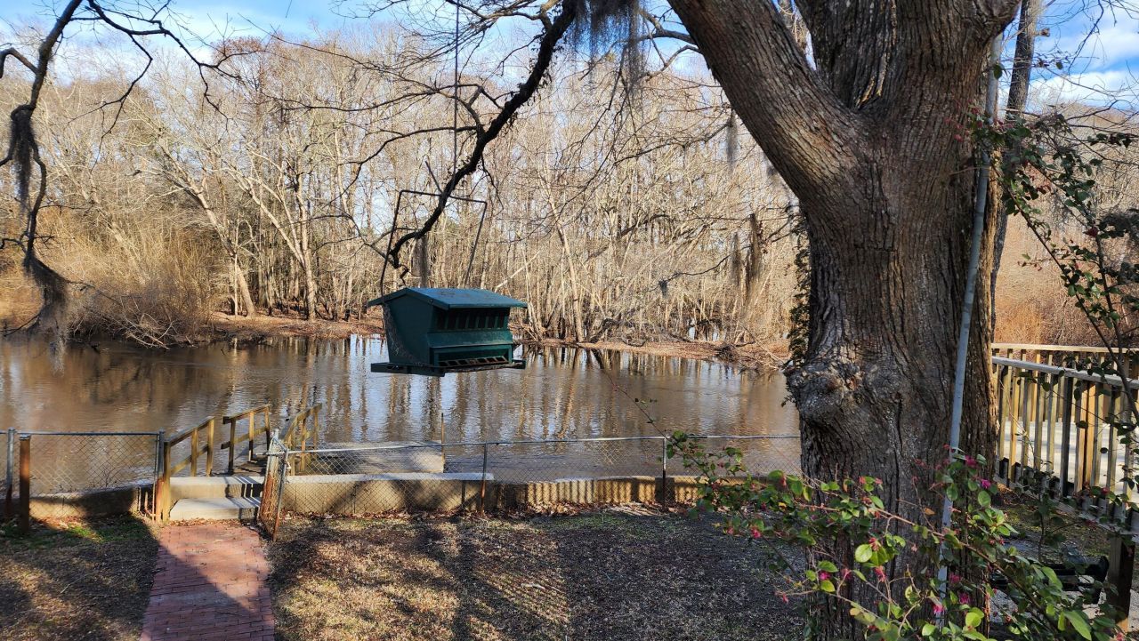 93 Deepwater Avenue Photo 43