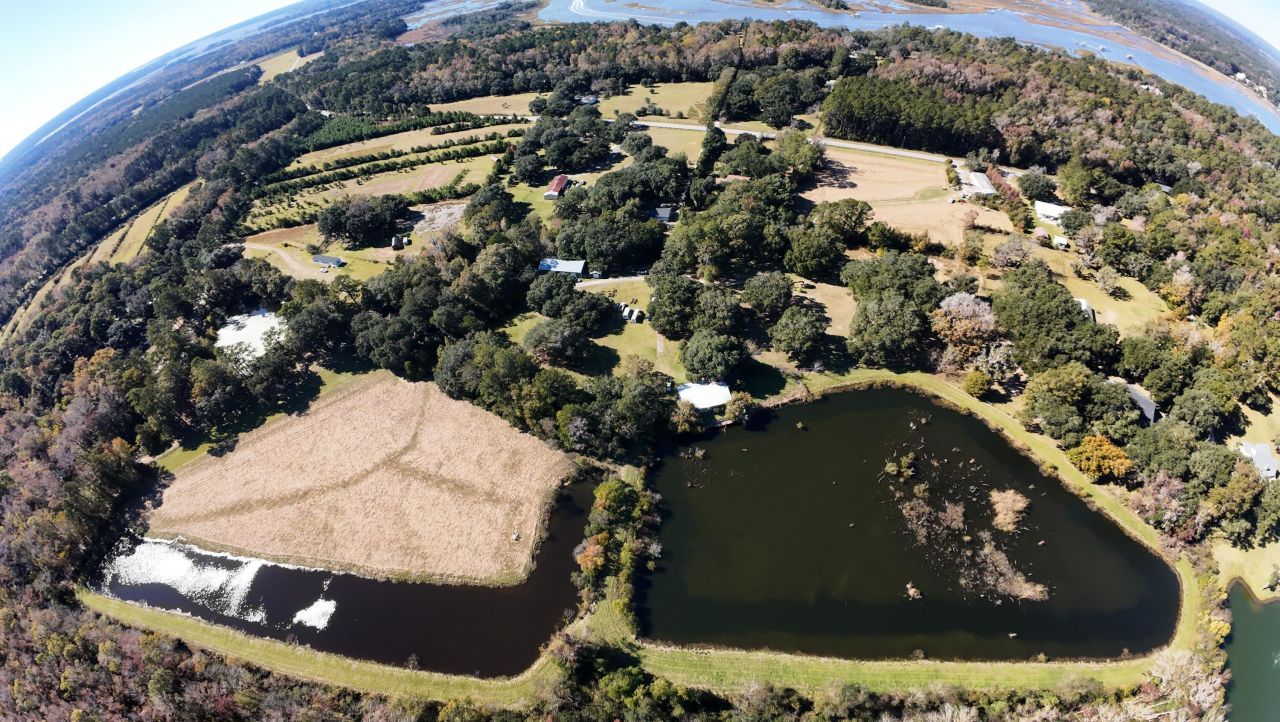 4347 Chisolm Road Photo 5