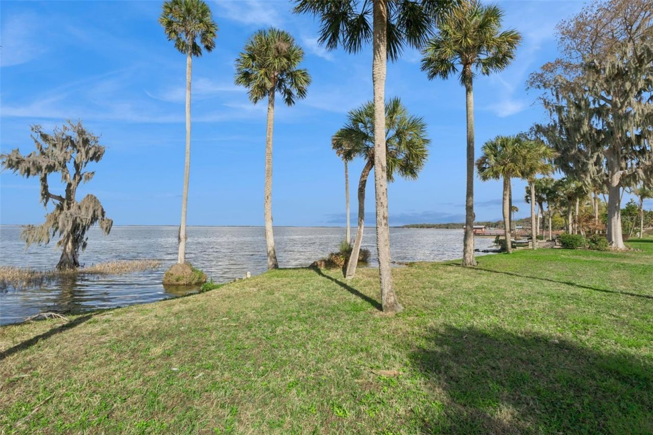 303 Waterwood Drive, Yalaha, FL 34797 Photo