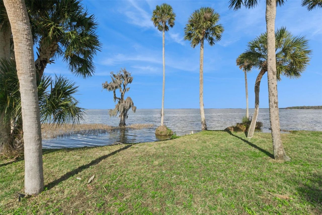 303 Waterwood Drive, Yalaha, FL 34797 Photo