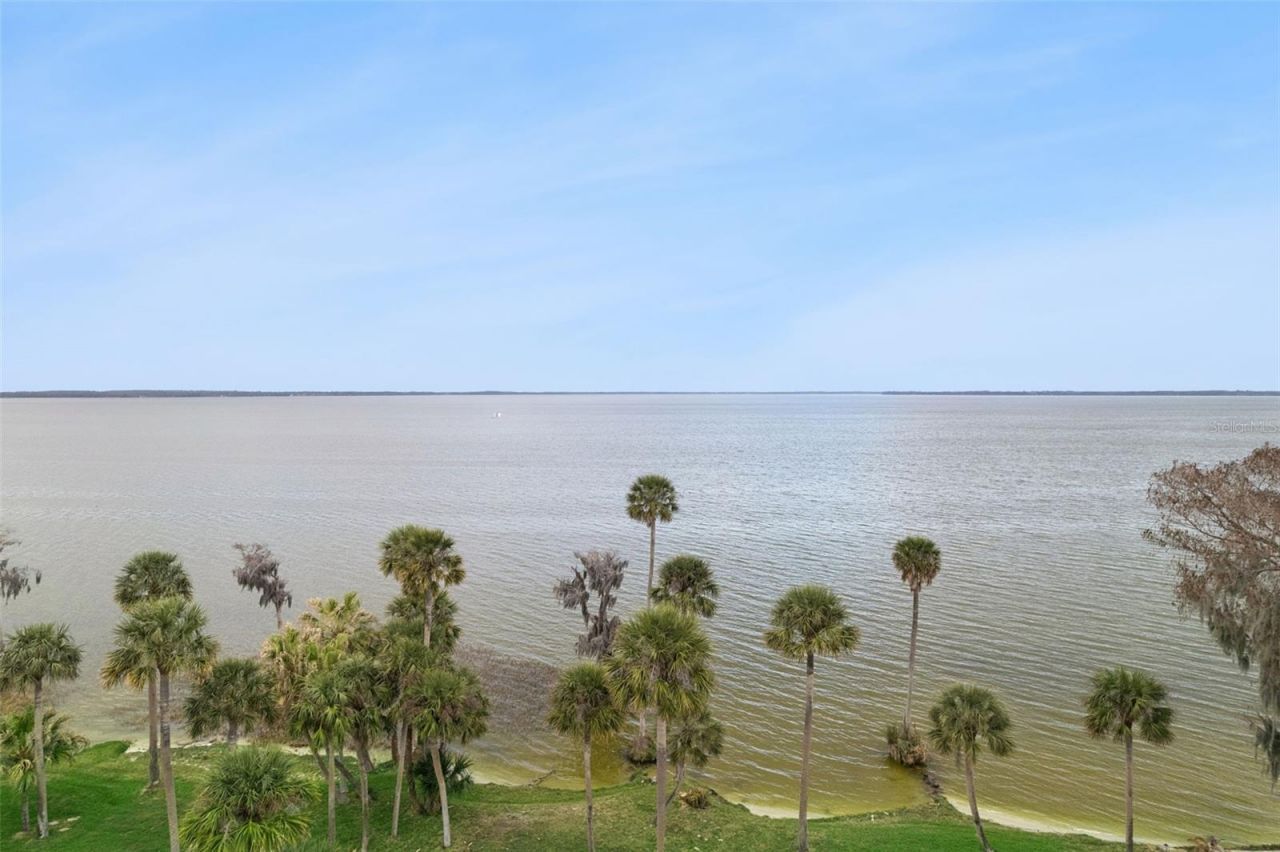 303 Waterwood Drive, Yalaha, FL 34797 Photo