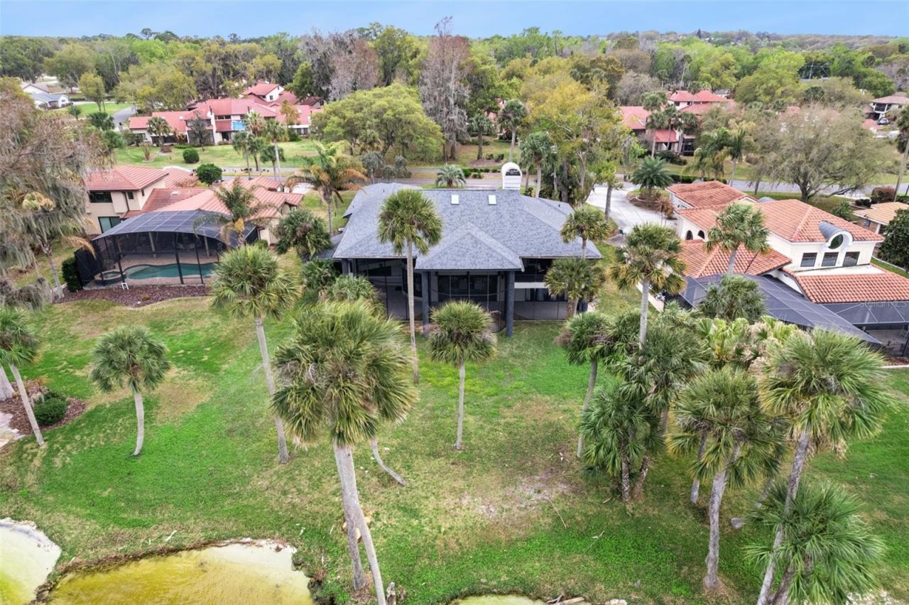 303 Waterwood Drive, Yalaha, FL 34797 Photo