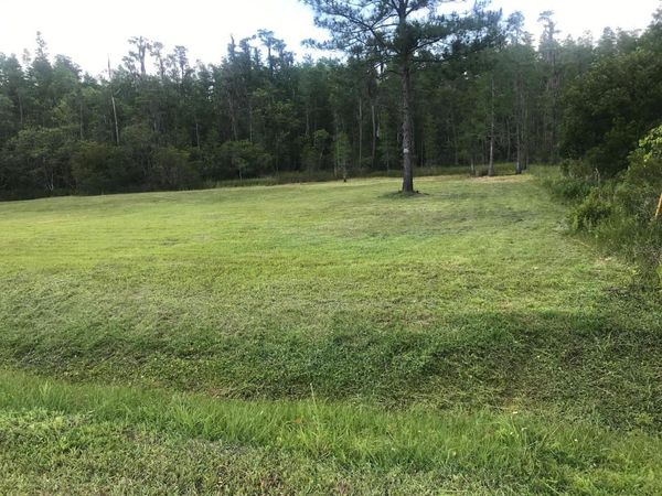 26545 C C LANE , WESLEY CHAPEL, FL 33544