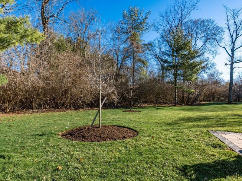 5314 Hawthornden Court, Dublin, OH 43017 Photo 44