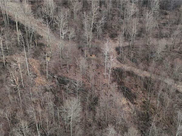 64 Acres along Gallagher & Loop Roads, Dayton, PA 16222