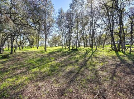 5508 High Sierra Rd, Pilot Hill, CA 95664 Photo