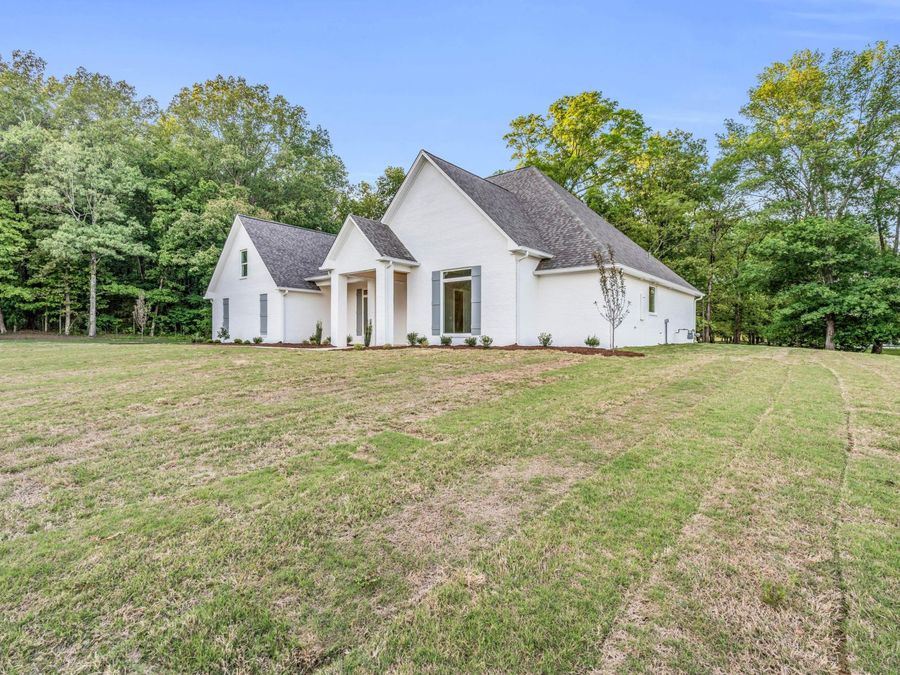 Property Image 44