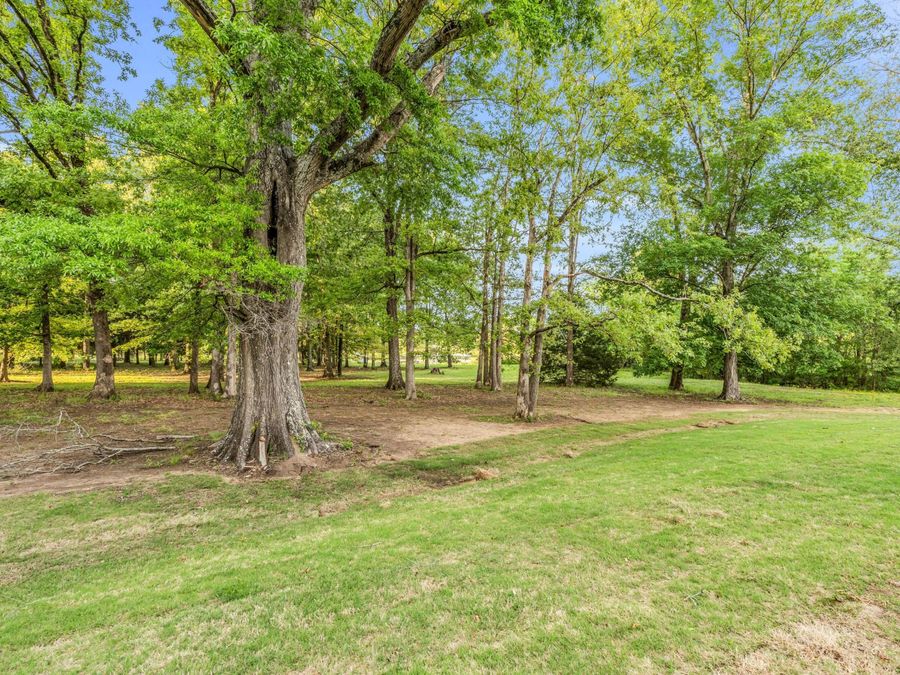 Property Image 50