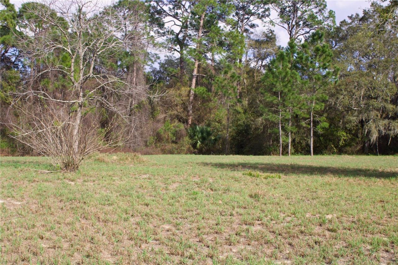 Silent Ridge Drive, Lot #47, Tavares, FL 32778 Photo