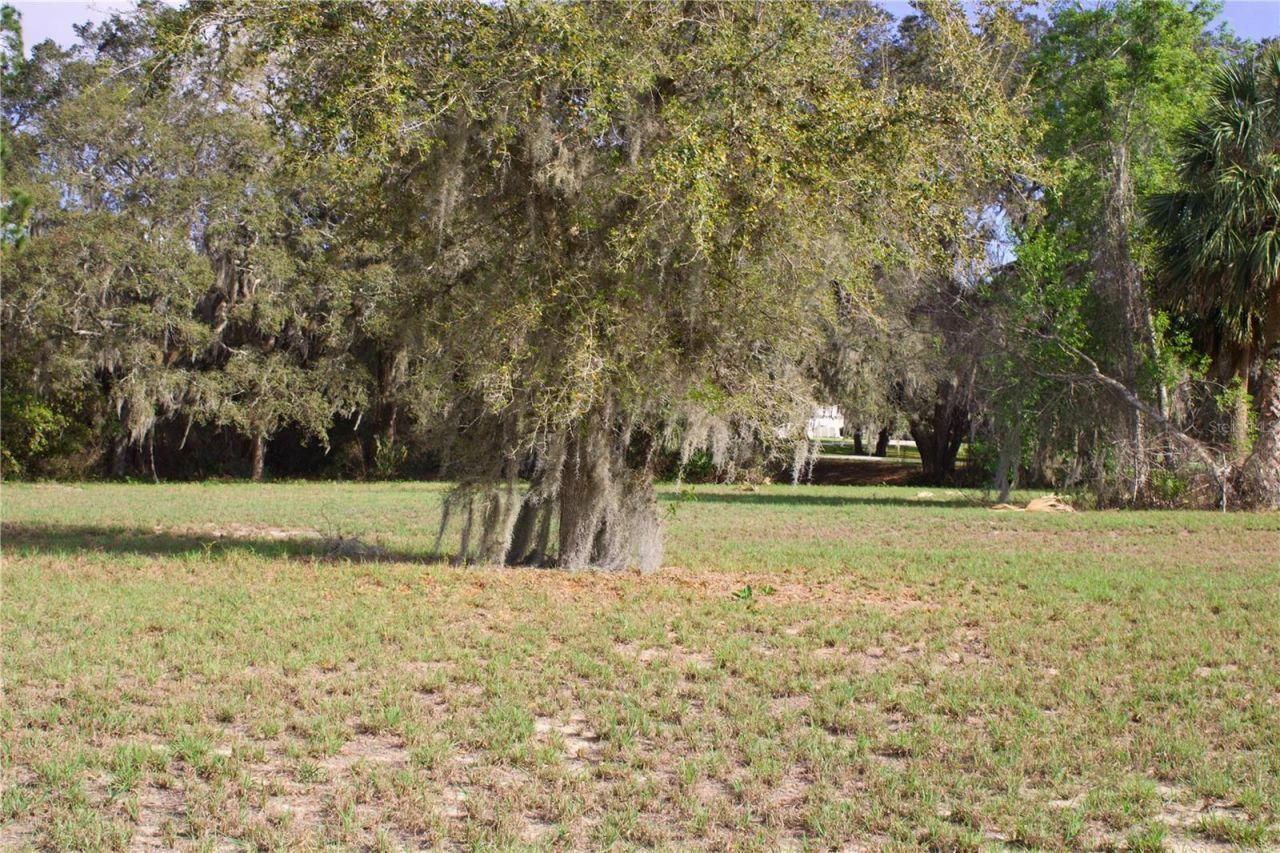 Silent Ridge Drive, Lot #47, Tavares, FL 32778 Photo