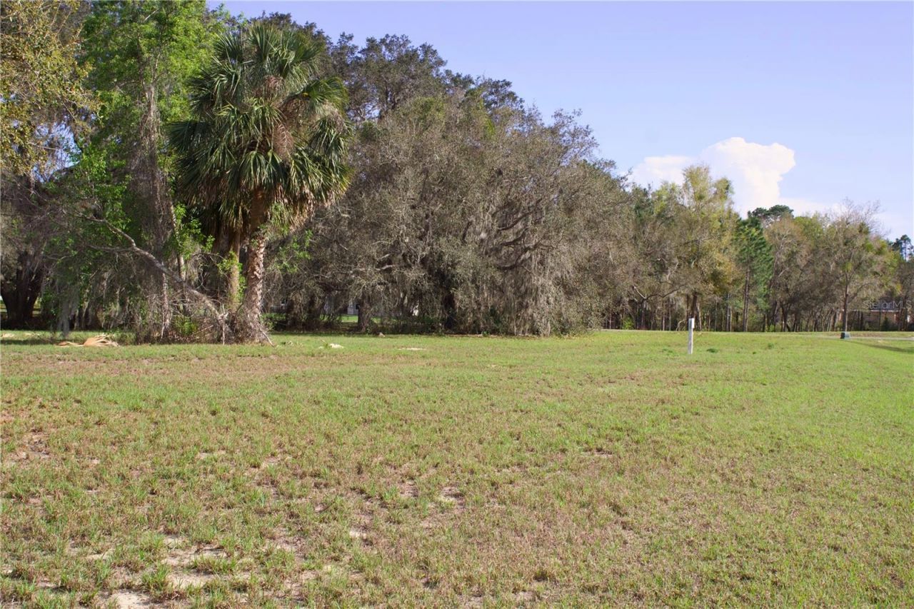 Silent Ridge Drive, Lot #47, Tavares, FL 32778 Photo