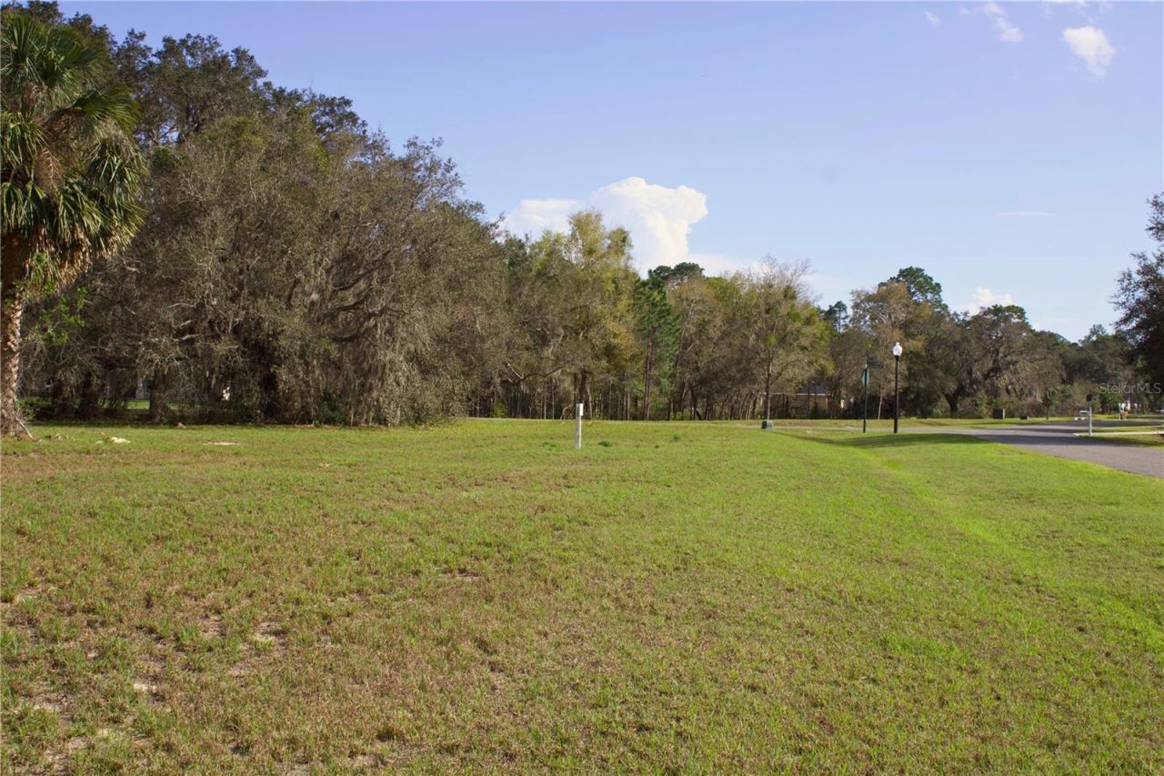 Silent Ridge Drive, Lot #47, Tavares, FL 32778 Photo