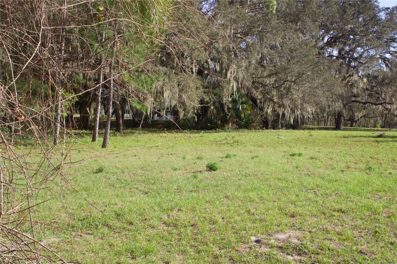 Silent Ridge Drive, Lot #47, Tavares, FL 32778 Photo