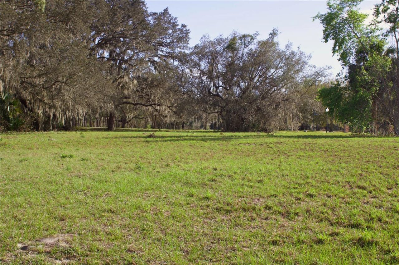 Silent Ridge Drive, Lot #47, Tavares, FL 32778 Photo