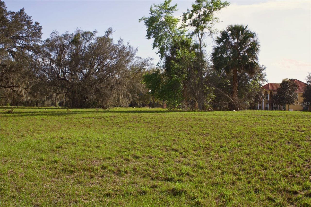 Silent Ridge Drive, Lot #47, Tavares, FL 32778 Photo