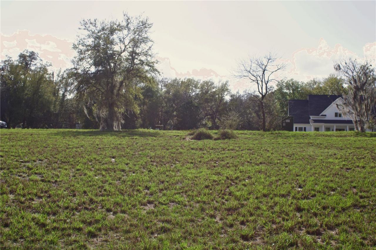 Silent Ridge Drive, Lot #47, Tavares, FL 32778 Photo