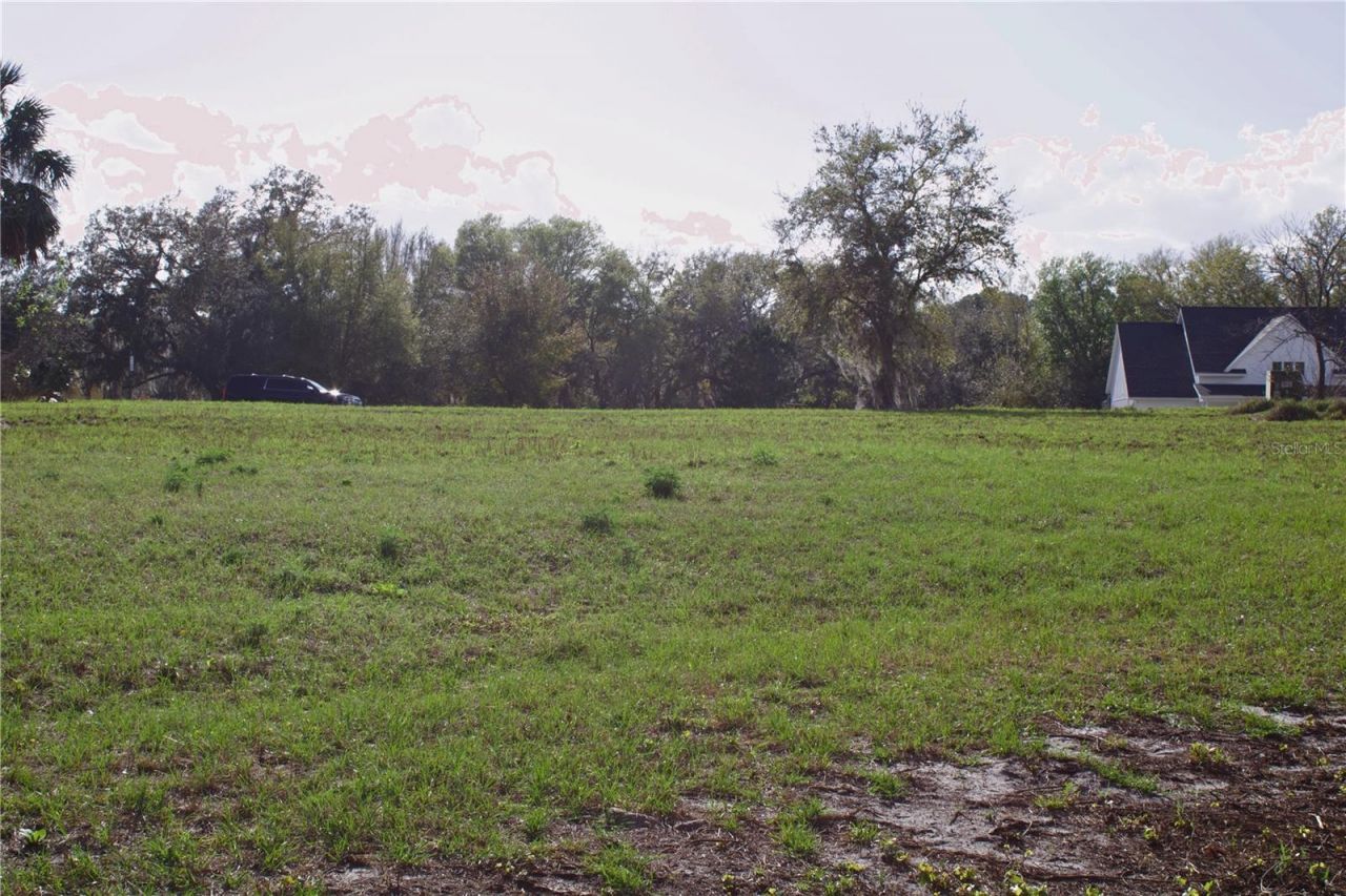 Silent Ridge Drive, Lot #47, Tavares, FL 32778 Photo