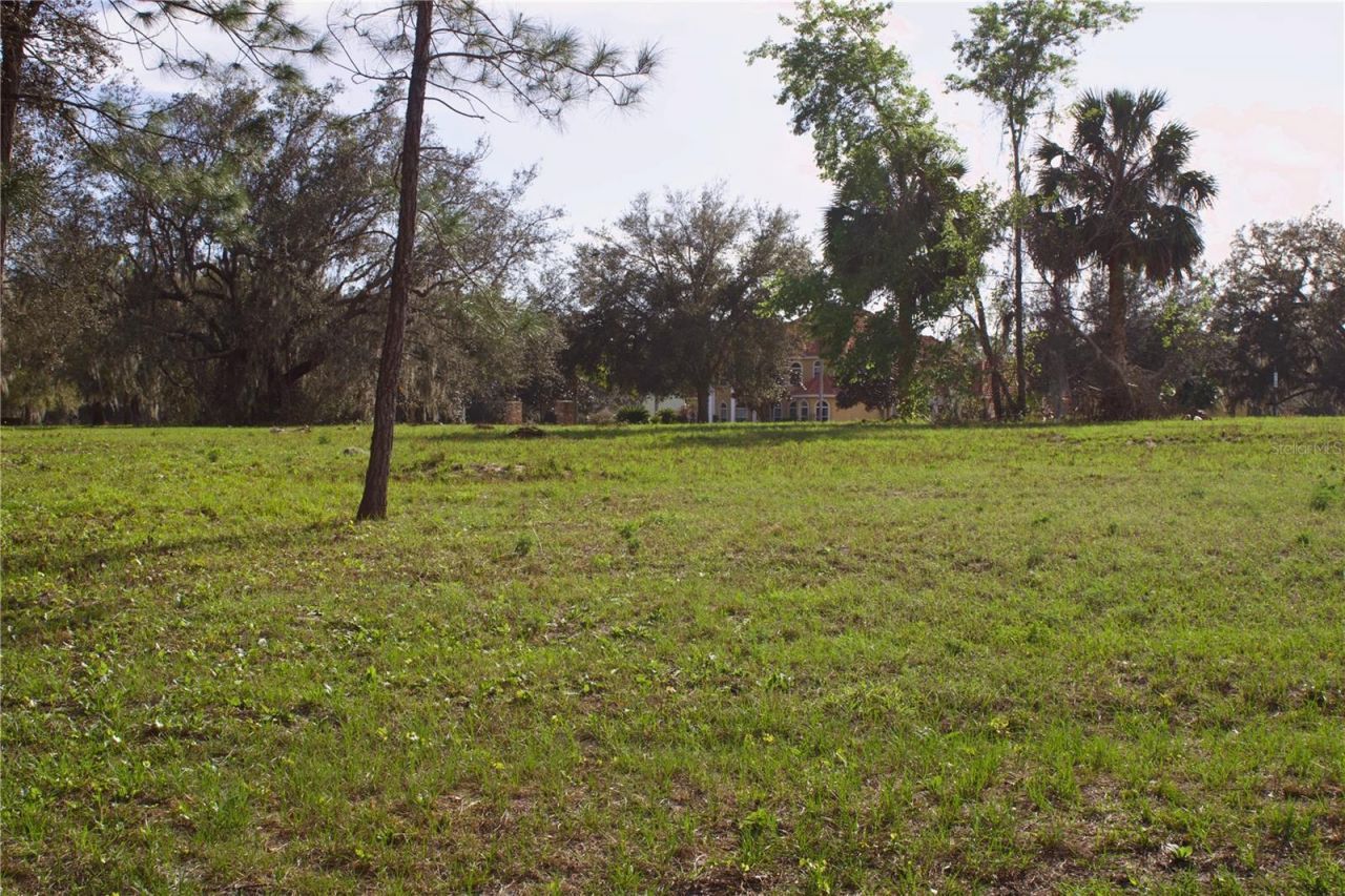 Silent Ridge Drive, Lot #47, Tavares, FL 32778 Photo