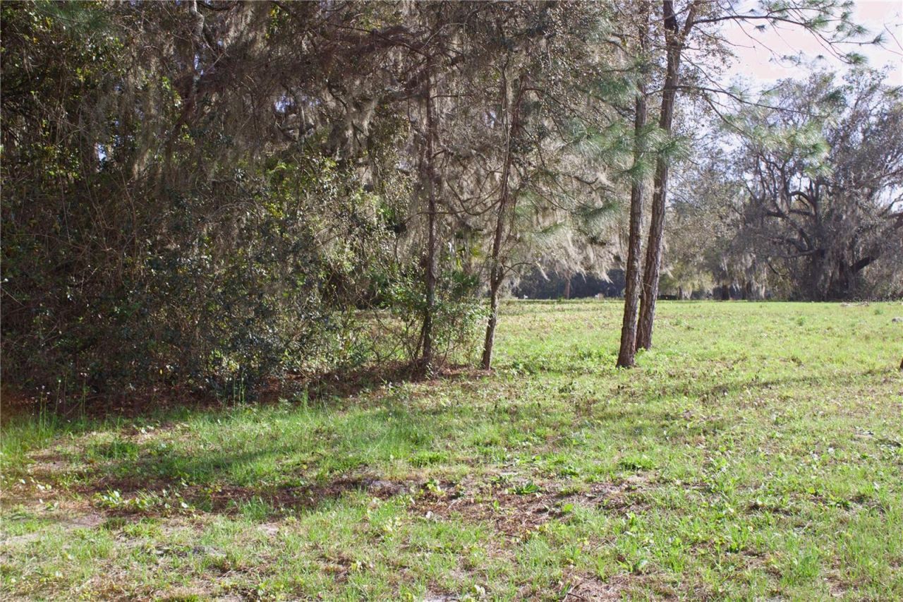 Silent Ridge Drive, Lot #47, Tavares, FL 32778 Photo