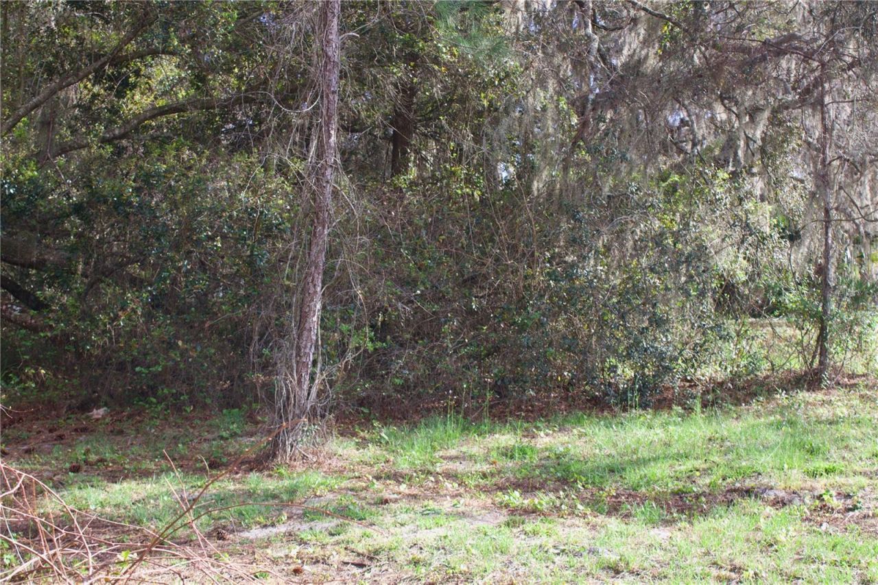 Silent Ridge Drive, Lot #47, Tavares, FL 32778 Photo