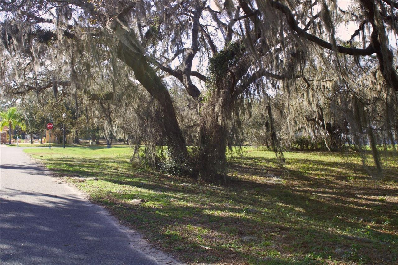 Silent Ridge Drive, Lot #47, Tavares, FL 32778 Photo
