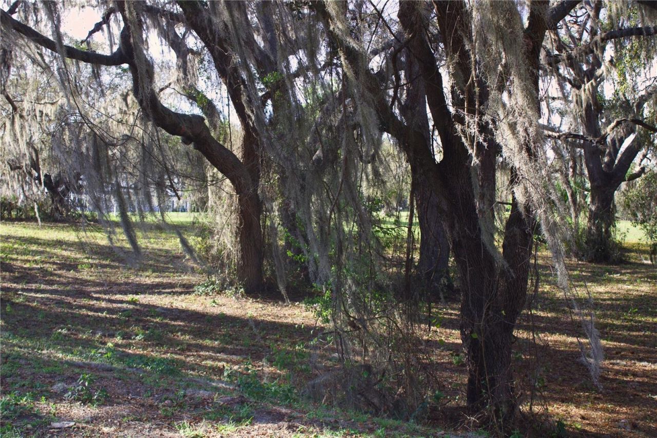 Silent Ridge Drive, Lot #47, Tavares, FL 32778 Photo