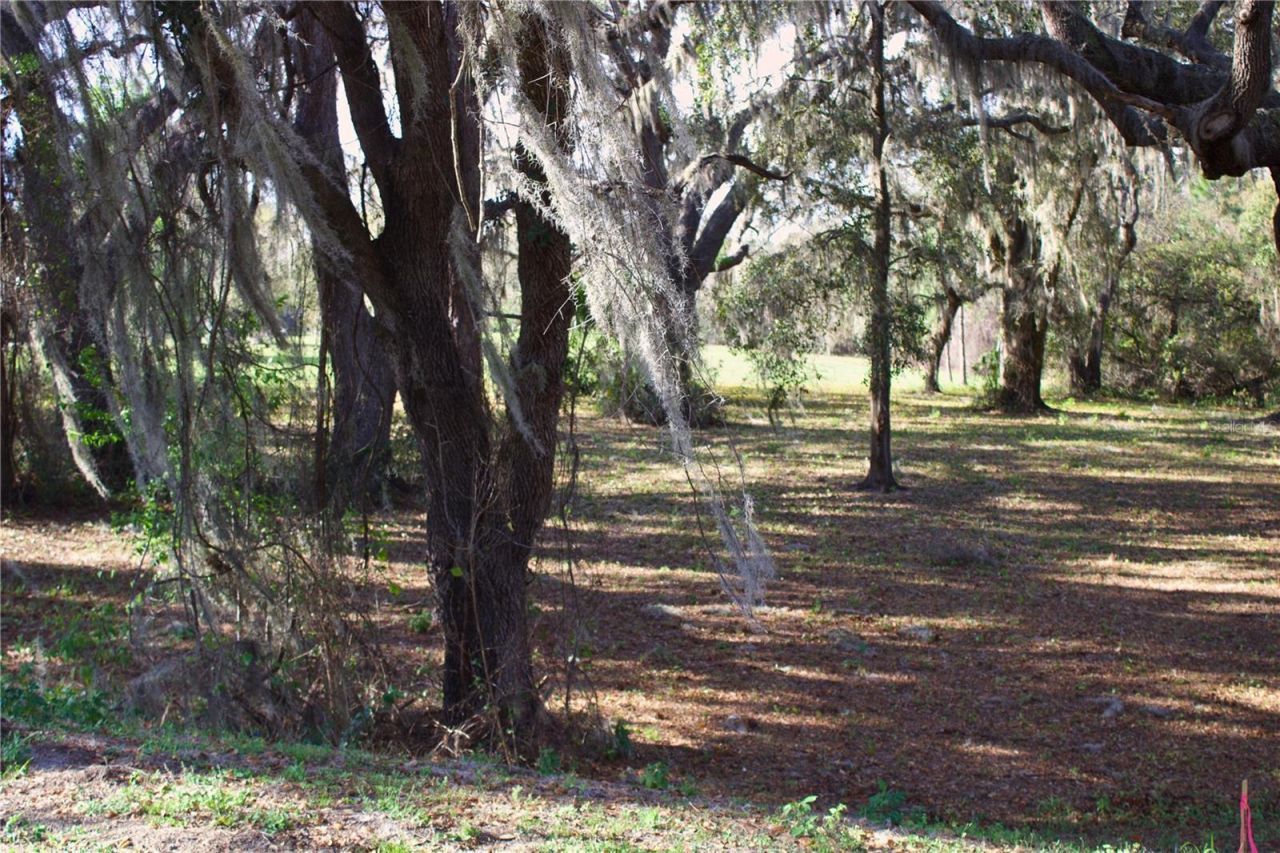 Silent Ridge Drive, Lot #47, Tavares, FL 32778 Photo