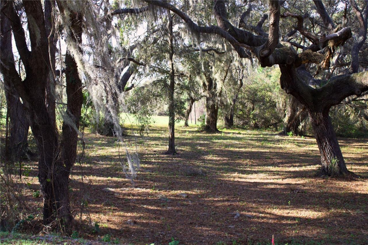 Silent Ridge Drive, Lot #47, Tavares, FL 32778 Photo