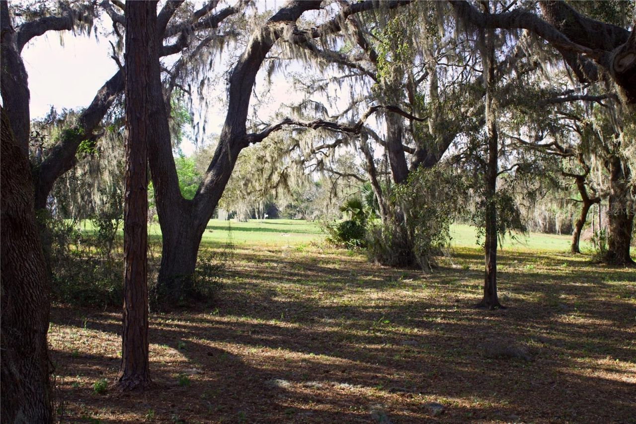 Silent Ridge Drive, Lot #47, Tavares, FL 32778 Photo