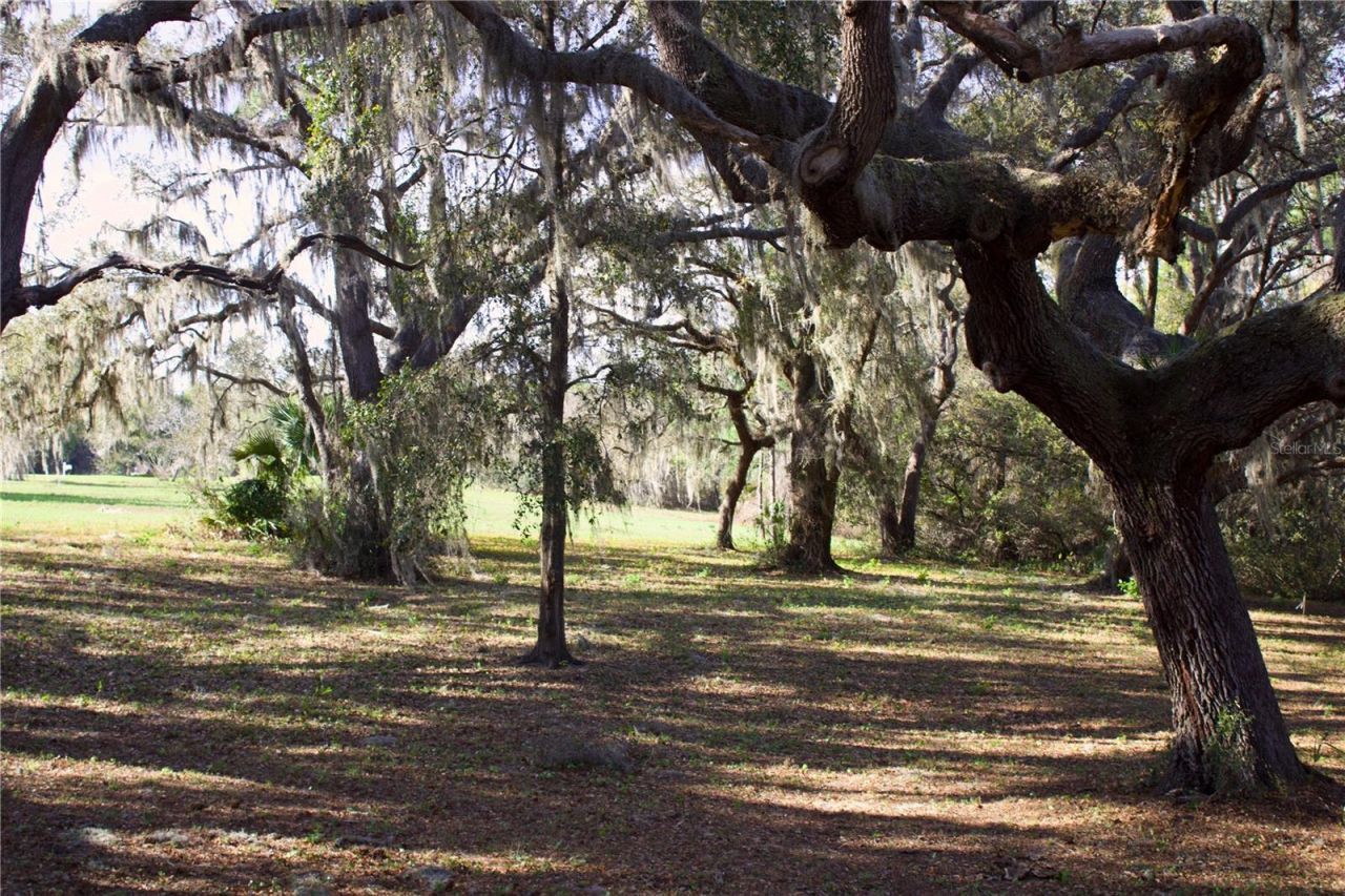 Silent Ridge Drive, Lot #47, Tavares, FL 32778 Photo