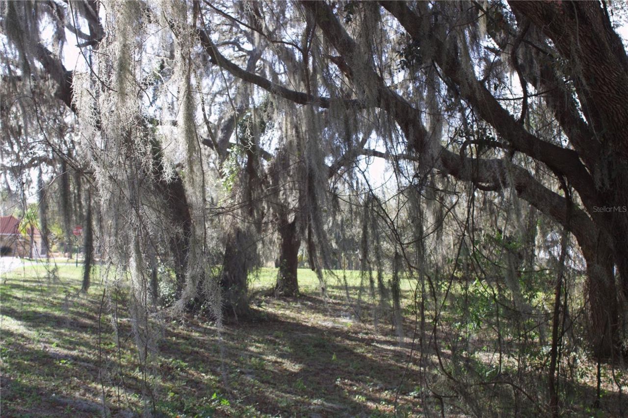 Silent Ridge Drive, Lot #47, Tavares, FL 32778 Photo