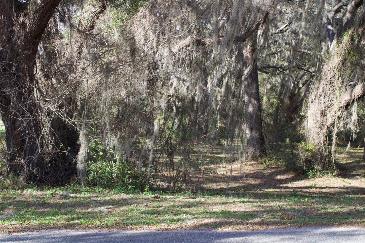 Silent Ridge Drive, Lot #47, Tavares, FL 32778 Photo