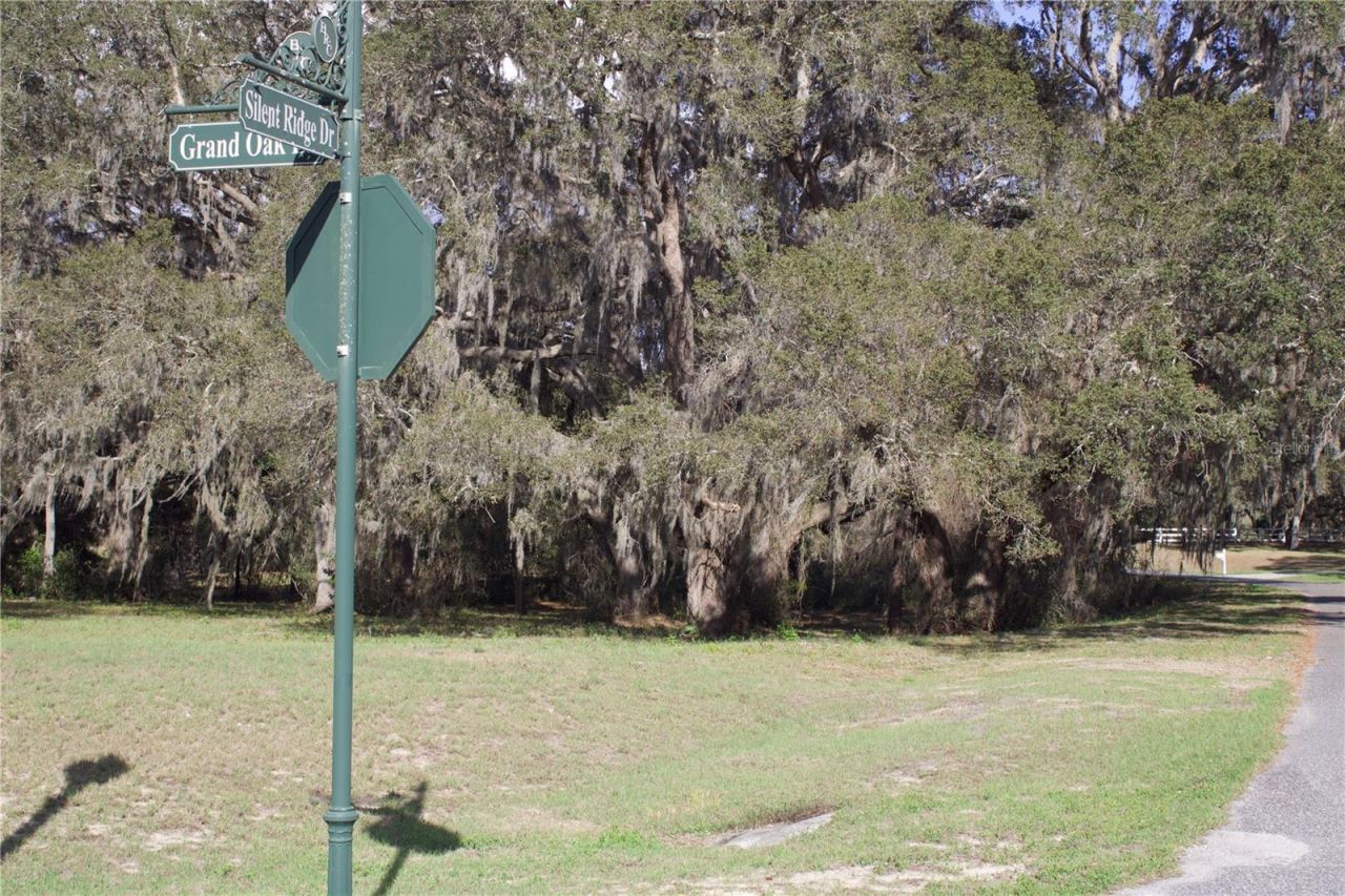 Silent Ridge Drive, Lot #47, Tavares, FL 32778 Photo