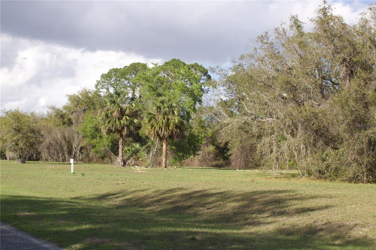 Silent Ridge Drive, Lot #47, Tavares, FL 32778 Photo