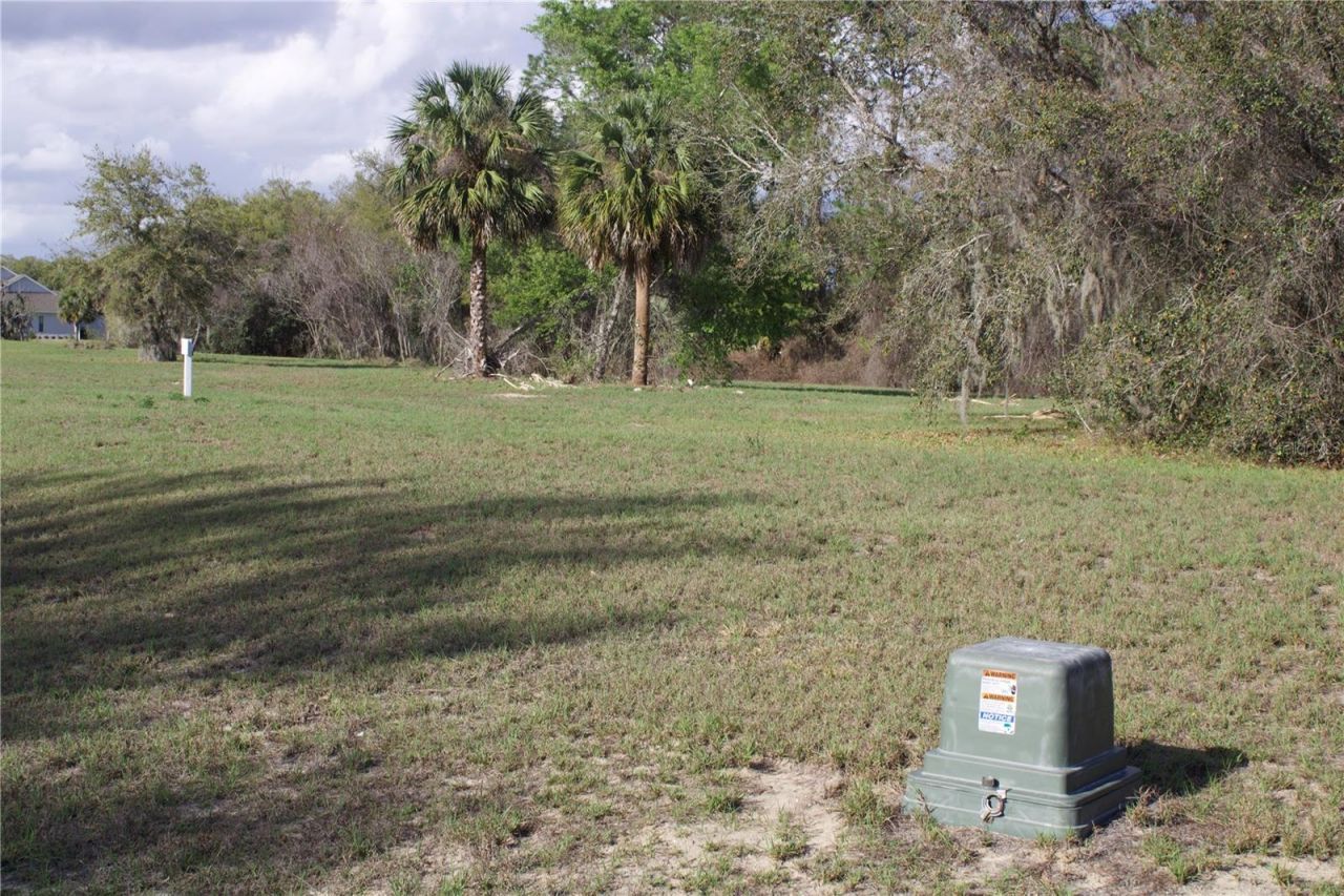 Silent Ridge Drive, Lot #47, Tavares, FL 32778 Photo