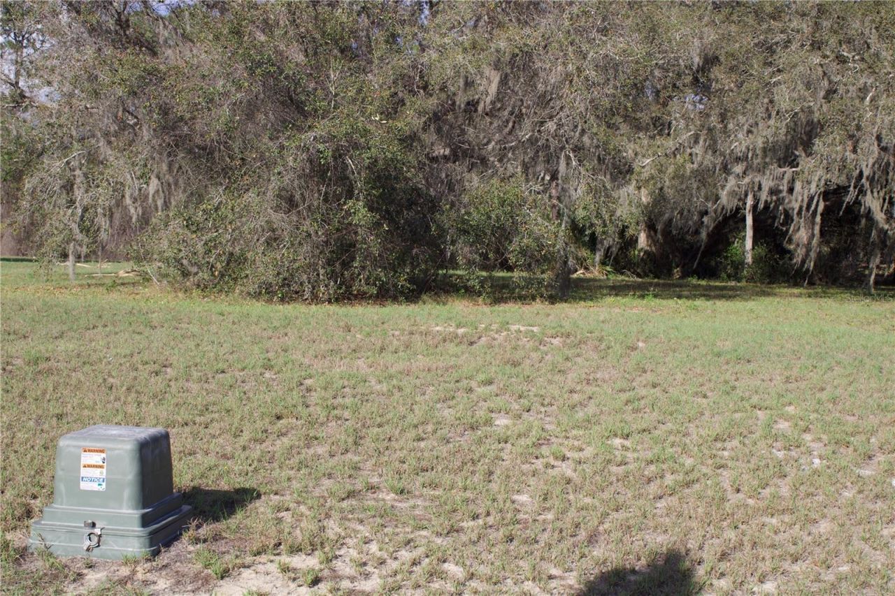 Silent Ridge Drive, Lot #47, Tavares, FL 32778 Photo