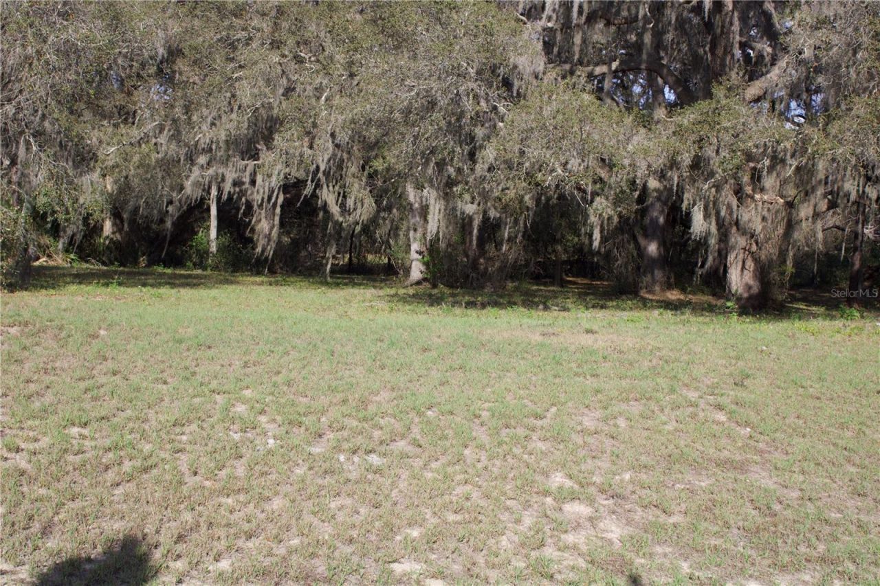 Silent Ridge Drive, Lot #47, Tavares, FL 32778 Photo