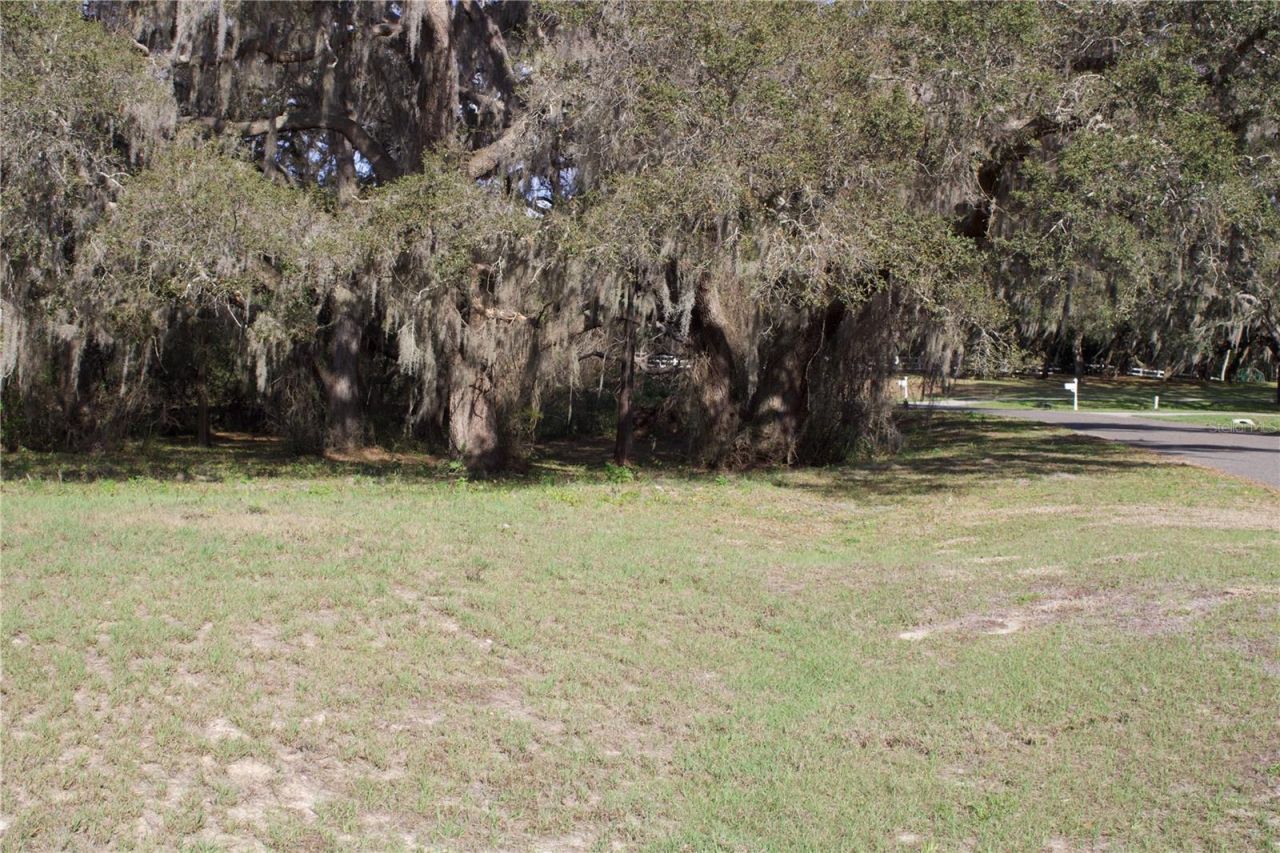 Silent Ridge Drive, Lot #47, Tavares, FL 32778 Photo