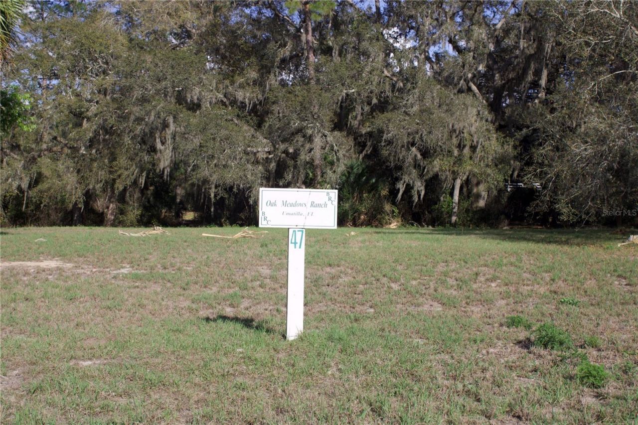 Silent Ridge Drive, Lot #47, Tavares, FL 32778 Photo