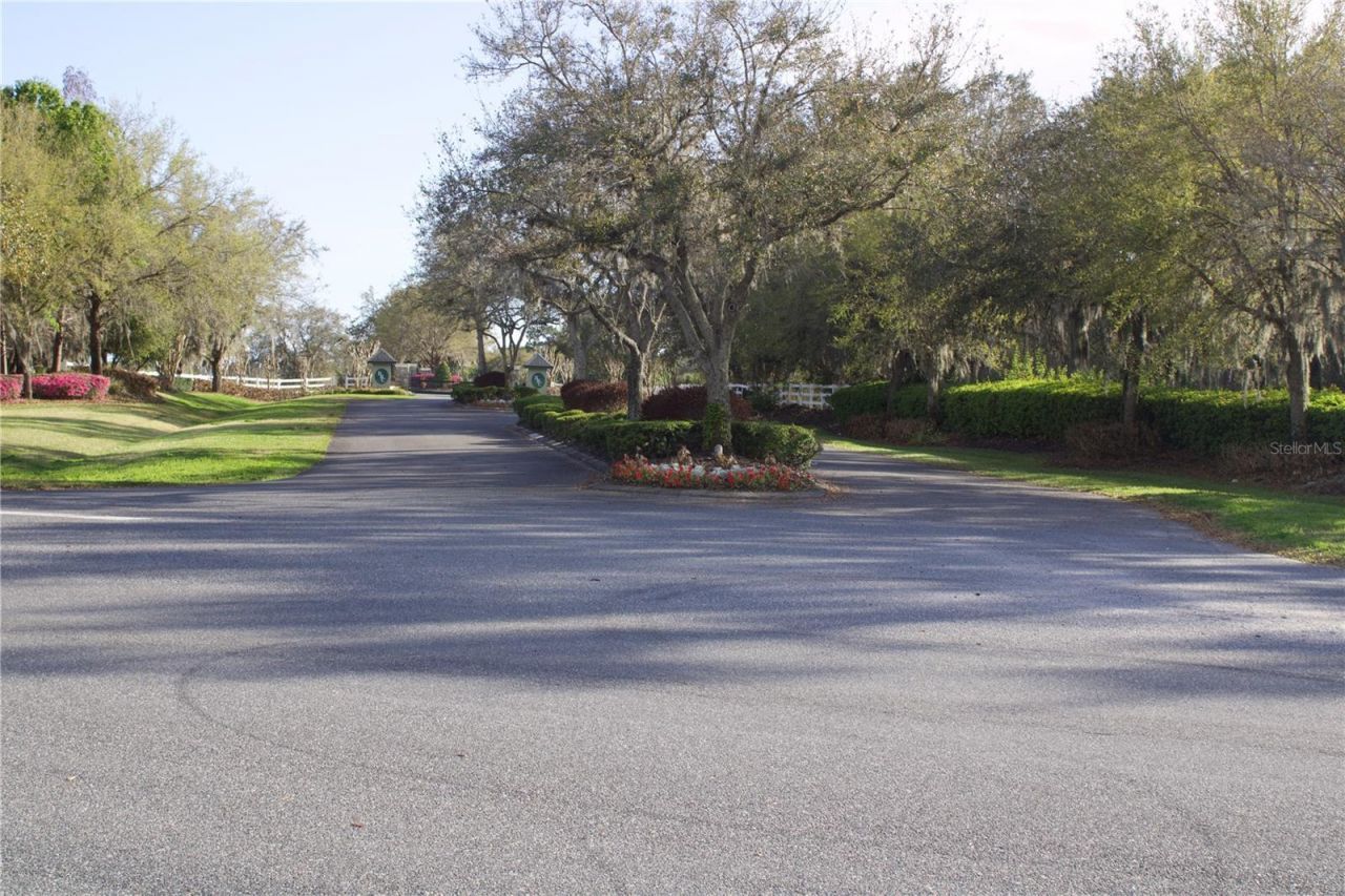 Silent Ridge Drive, Lot #47, Tavares, FL 32778 Photo