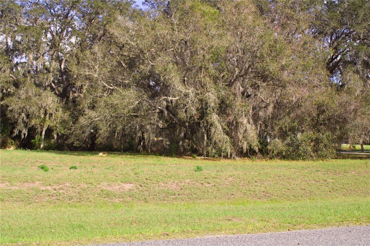 Silent Ridge Drive, Lot #47, Tavares, FL 32778 Photo