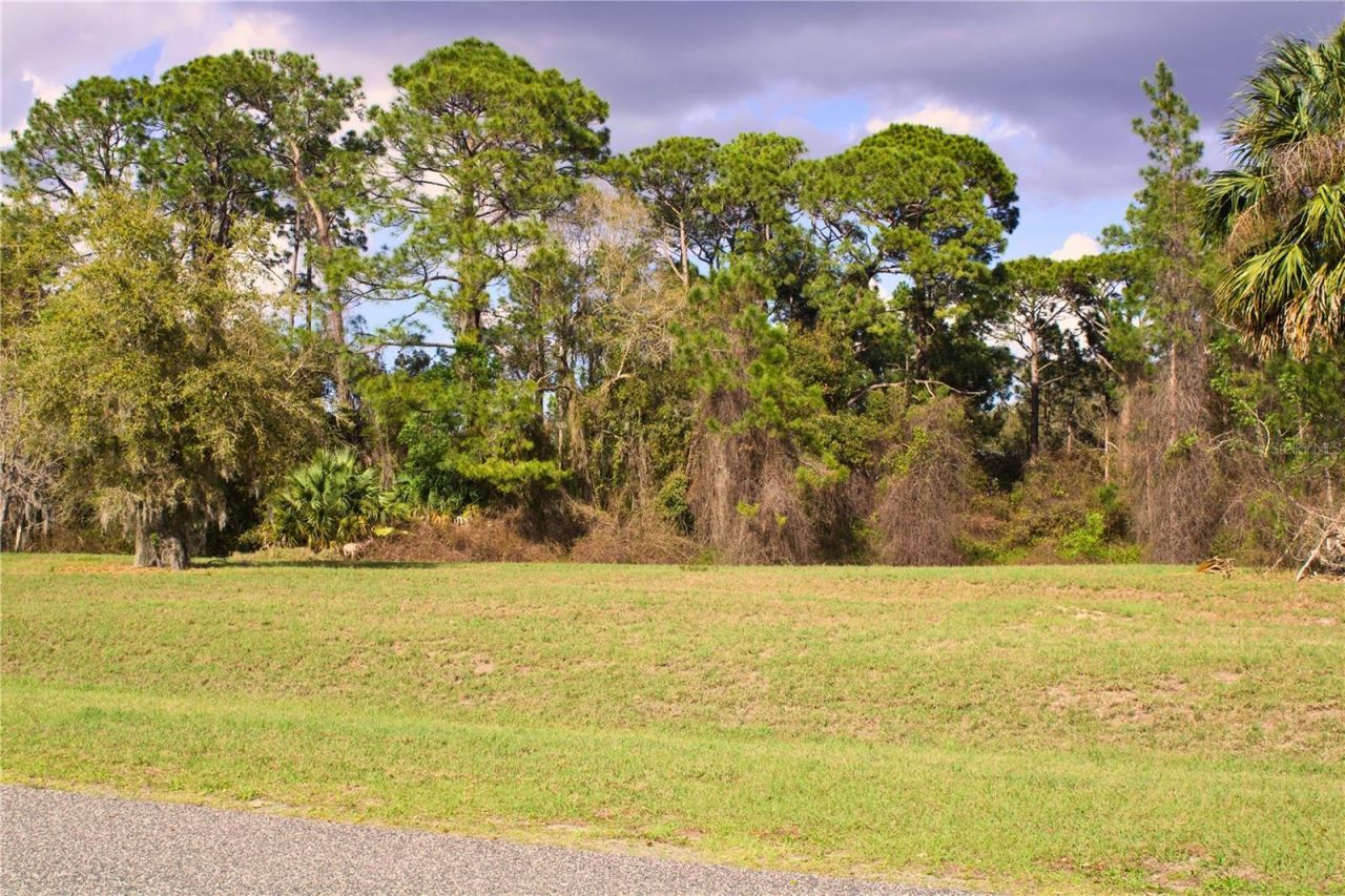 Silent Ridge Drive, Lot #47, Tavares, FL 32778 Photo